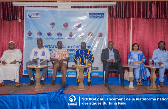 Plateforme nationale des stages Burkina Faso